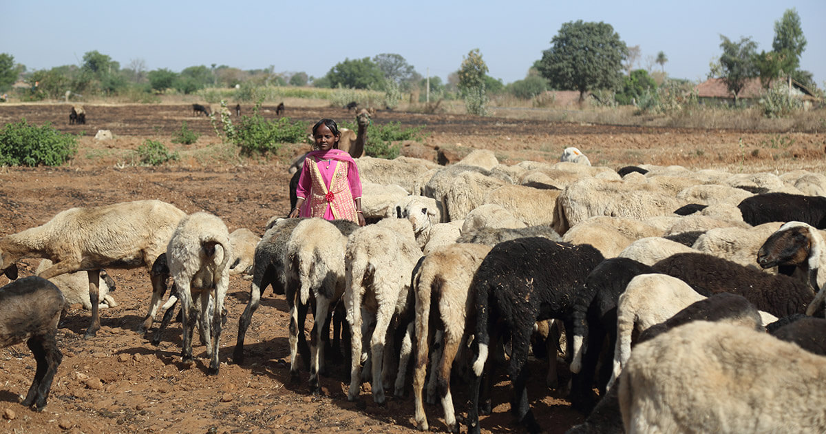 Child Labour Is Still Affecting The Education Of The Girl Child – Here’s How